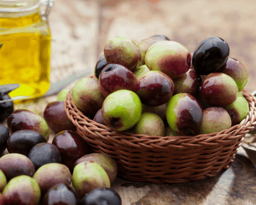 aminess-island-of-krk-destination-fresh-olives-olive-oil-gastronomy